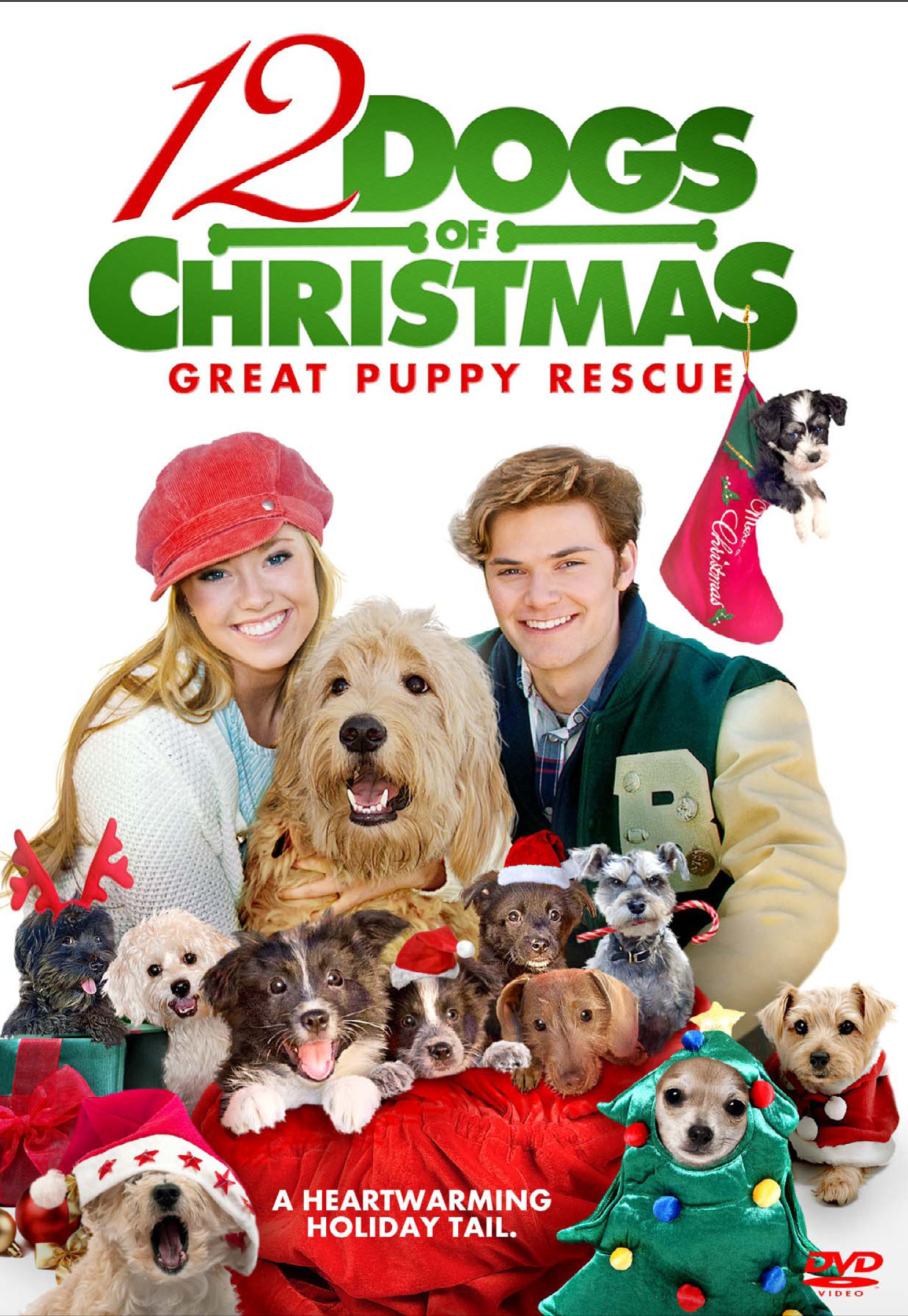 ดูหนังออนไลน์ฟรี 12 Dogs Of Christmas (2005)