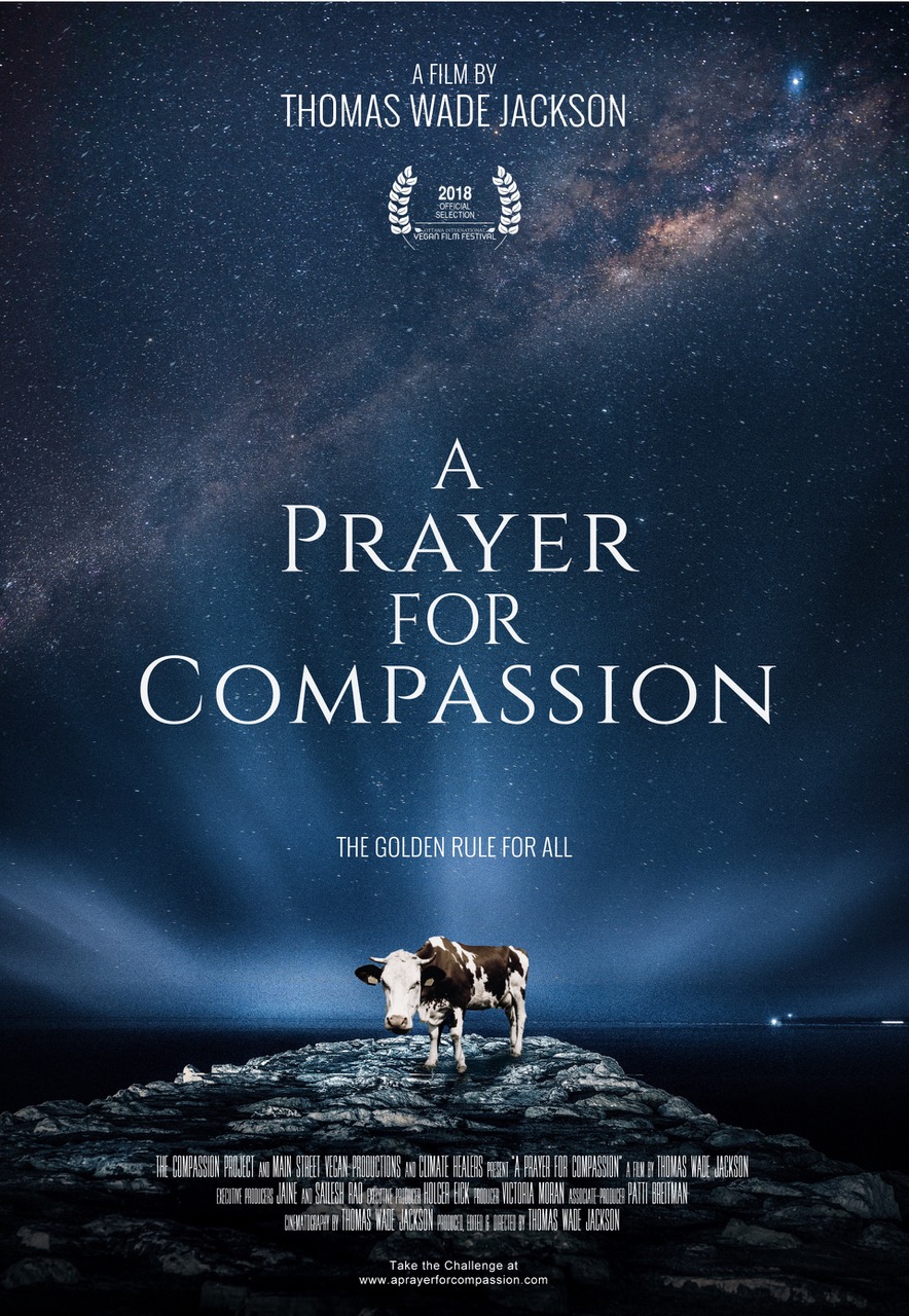 ดูหนังออนไลน์ฟรี A Prayer for Compassion (2019) (Soundtrack)