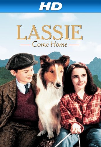 ดูหนังออนไลน์ฟรี Lassie Come Home (1943)